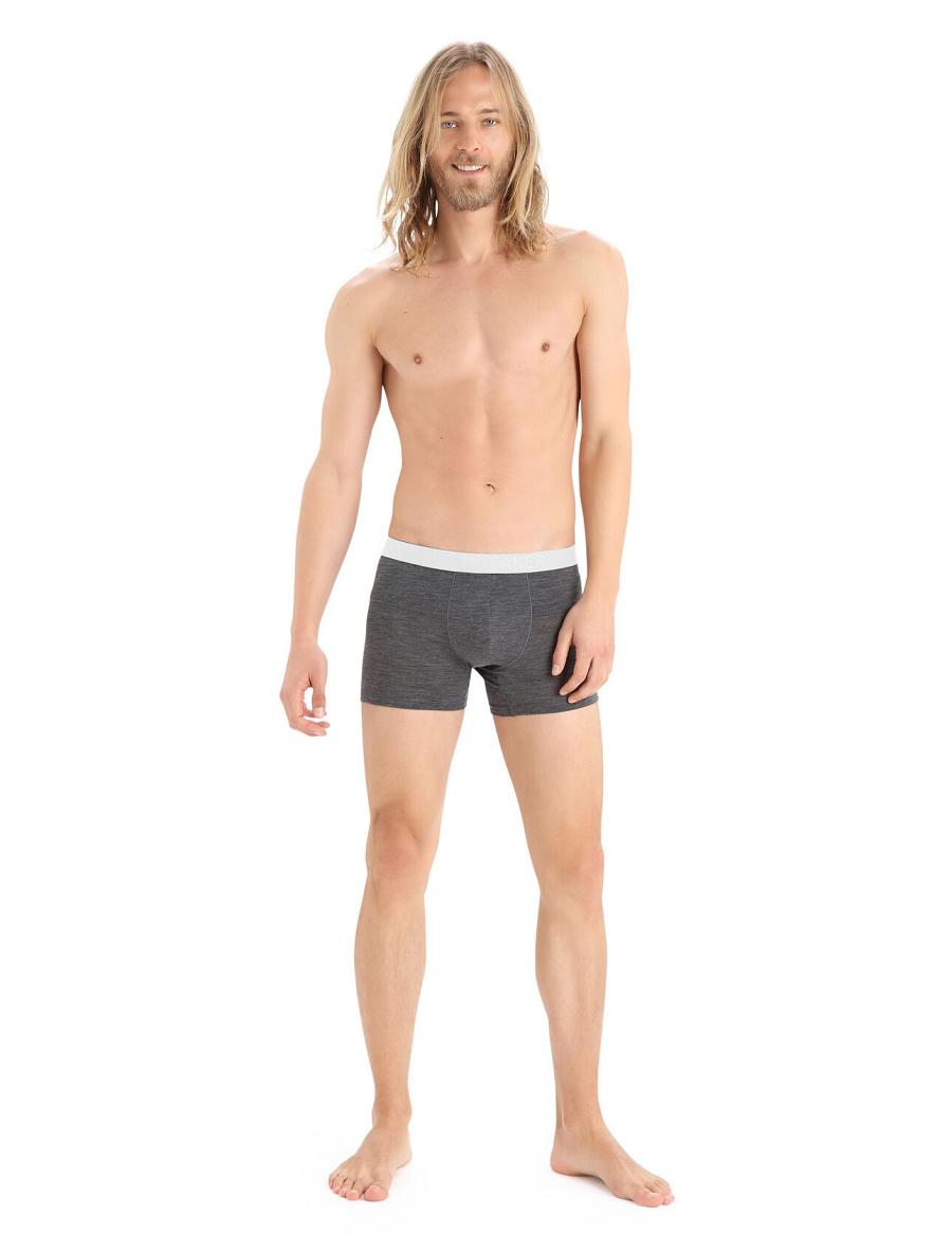 Bielizny Icebreaker Cool-Lite™ Merino Anatomica Boxers Męskie Taupe | PL 1628MQZA